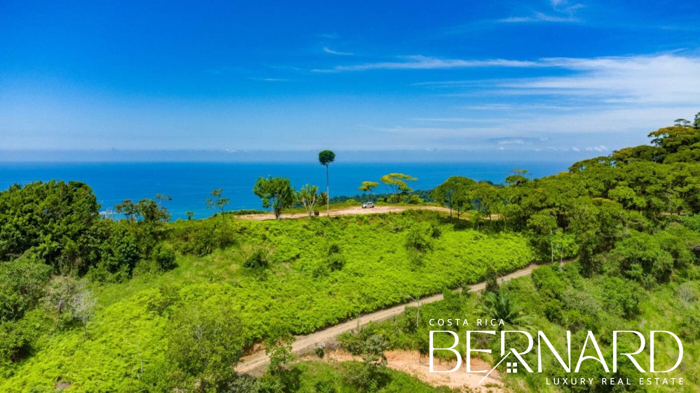 Dominicalito Estate Aerial View, Costa Rica