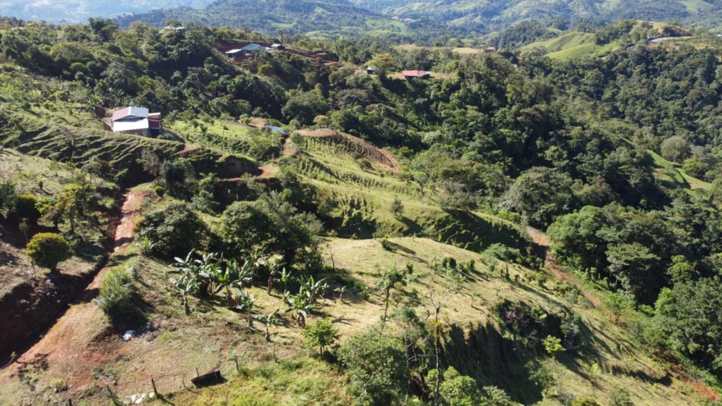 Lush mountain terrain in Costa Rica for potential land buying