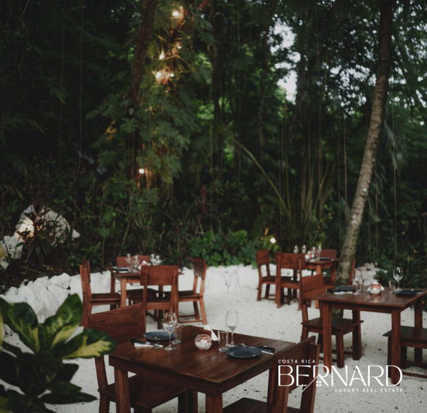 Exterior shot of Jungle Restaurant, nestled in lush surroundings for a private dining experience.