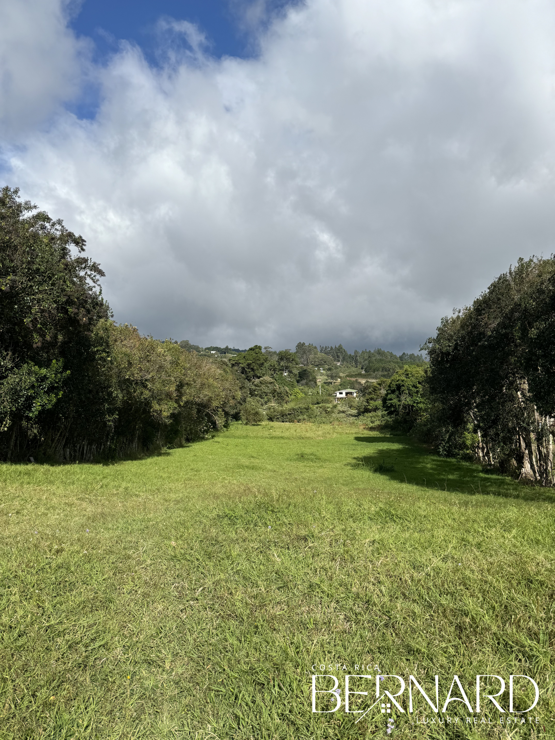 Portrait view of the lush, undeveloped land in San Isidro de Heredia, surrounded by natural beauty.