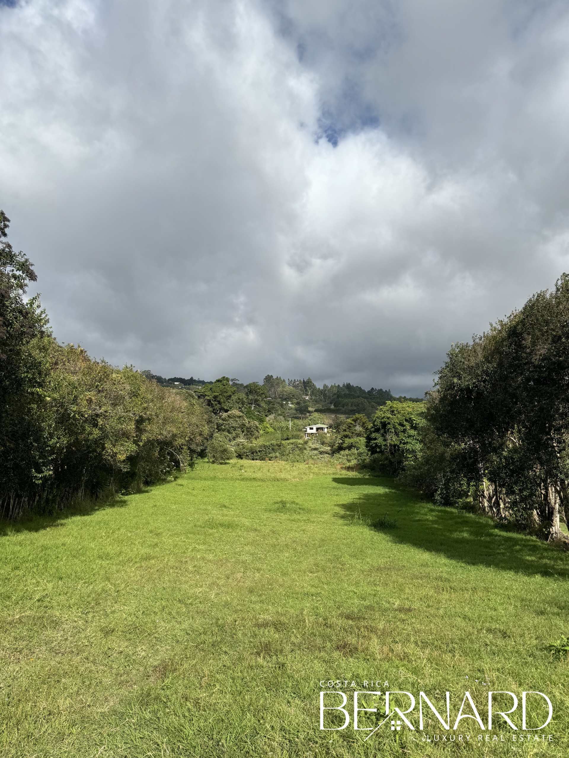 Portrait view of the lush, undeveloped land in San Isidro de Heredia, surrounded by natural beauty.