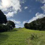 Portrait view of the lush, undeveloped land in San Isidro de Heredia, surrounded by natural beauty.