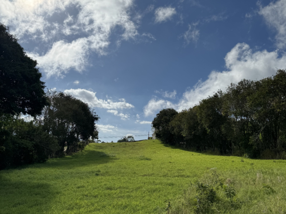 Portrait view of the lush, undeveloped land in San Isidro de Heredia, surrounded by natural beauty.