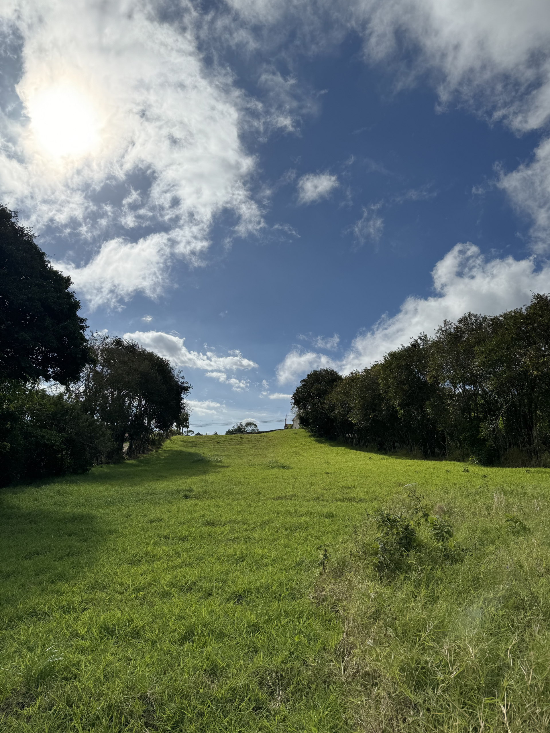 Portrait view of the lush, undeveloped land in San Isidro de Heredia, surrounded by natural beauty.