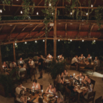 Elegant table setting inside Jungle Restaurant, highlighting its quality service and ambiance.