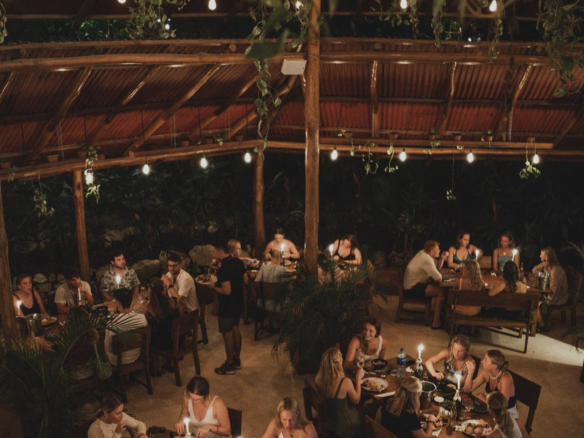 Elegant table setting inside Jungle Restaurant, highlighting its quality service and ambiance.