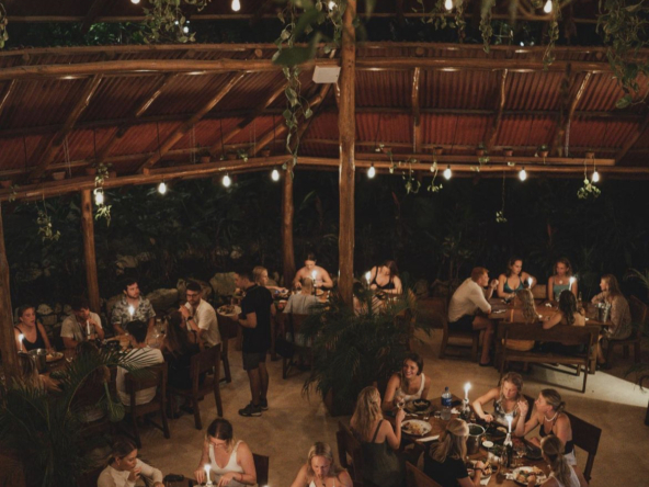 Elegant table setting inside Jungle Restaurant, highlighting its quality service and ambiance.