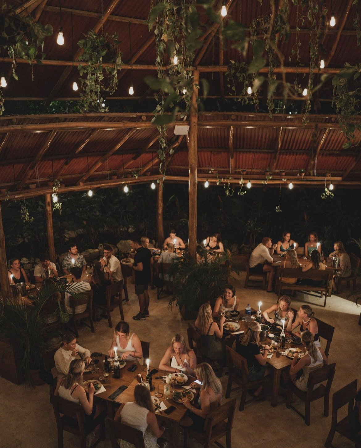 Elegant table setting inside Jungle Restaurant, highlighting its quality service and ambiance.