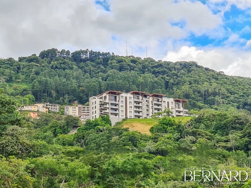 Lush green property with rolling hills and trees, ideal for luxury condo development