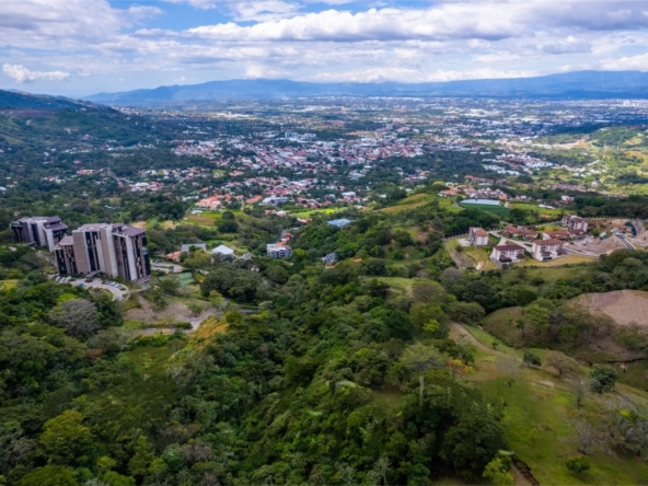 Lush green property with rolling hills and trees, ideal for luxury condo development