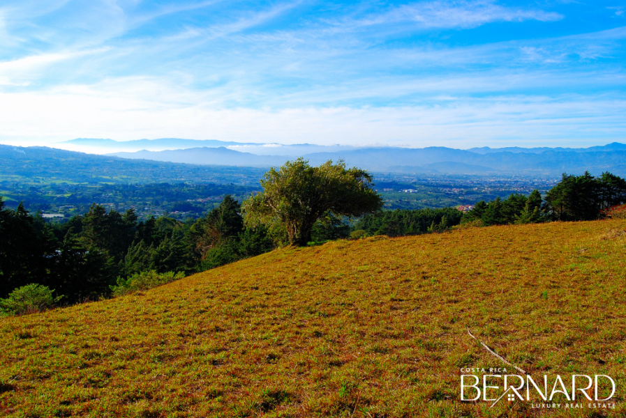 Exclusive Serenity - 9.39-Acre land for sale in San Isidro-6