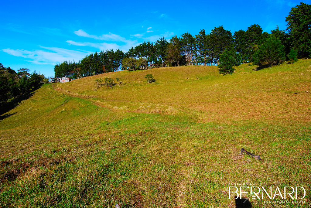 Exclusive Serenity - 9.39-Acre land for sale in San Isidro-5