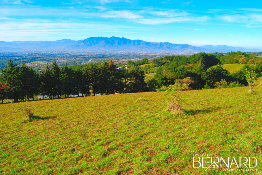 Exclusive Serenity - 9.39-Acre land for sale in San Isidro-3