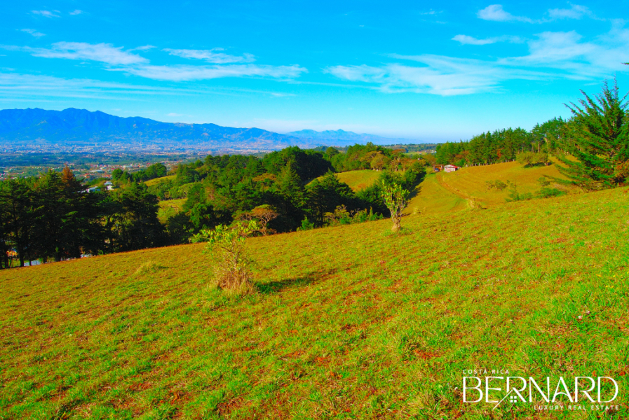 Exclusive Serenity - 9.39-Acre land for sale in San Isidro-2
