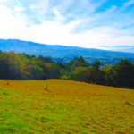 Exclusive Serenity - 9.39-Acre land for sale in San Isidro