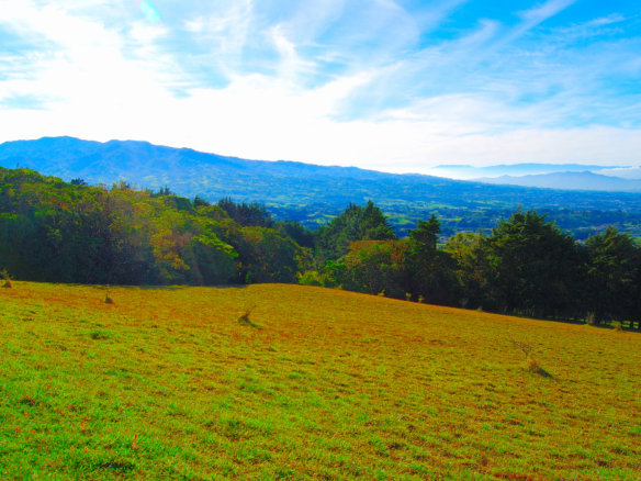 Exclusive Serenity - 9.39-Acre land for sale in San Isidro