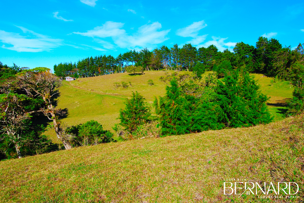 Exclusive Serenity - 9.39-Acre land for sale in San Isidro-7