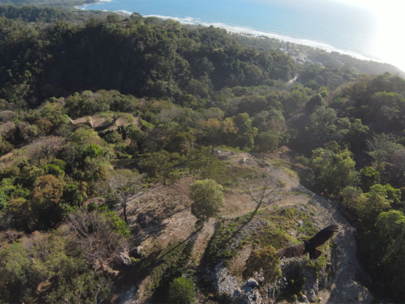 Aerial view of the 30-acre luxury development land in Santa Teresa, surrounded by lush greenery and rolling hills.