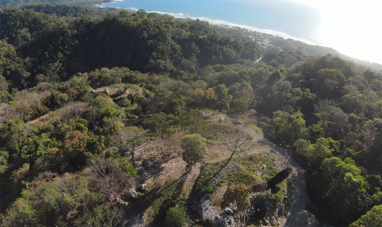 Aerial view of the 30-acre luxury development land in Santa Teresa, surrounded by lush greenery and rolling hills.