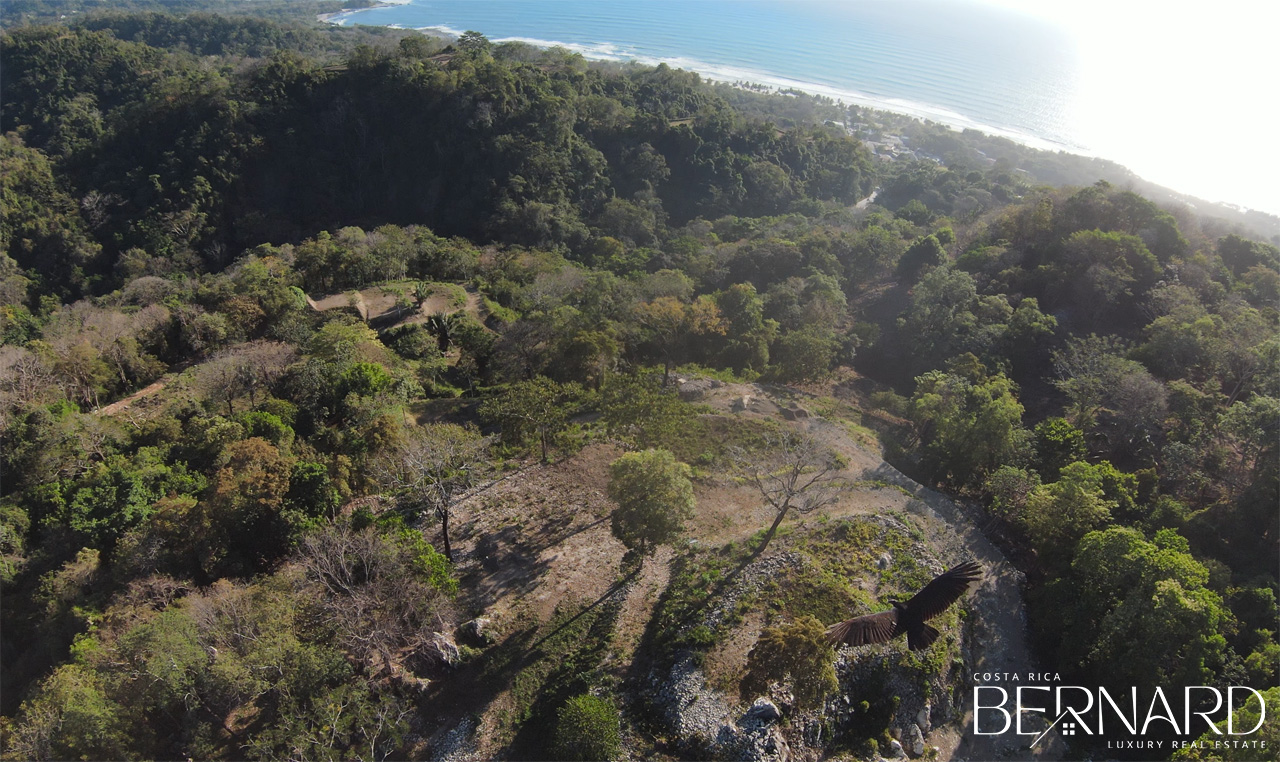 Aerial view of the 30-acre luxury development land in Santa Teresa, surrounded by lush greenery and rolling hills.