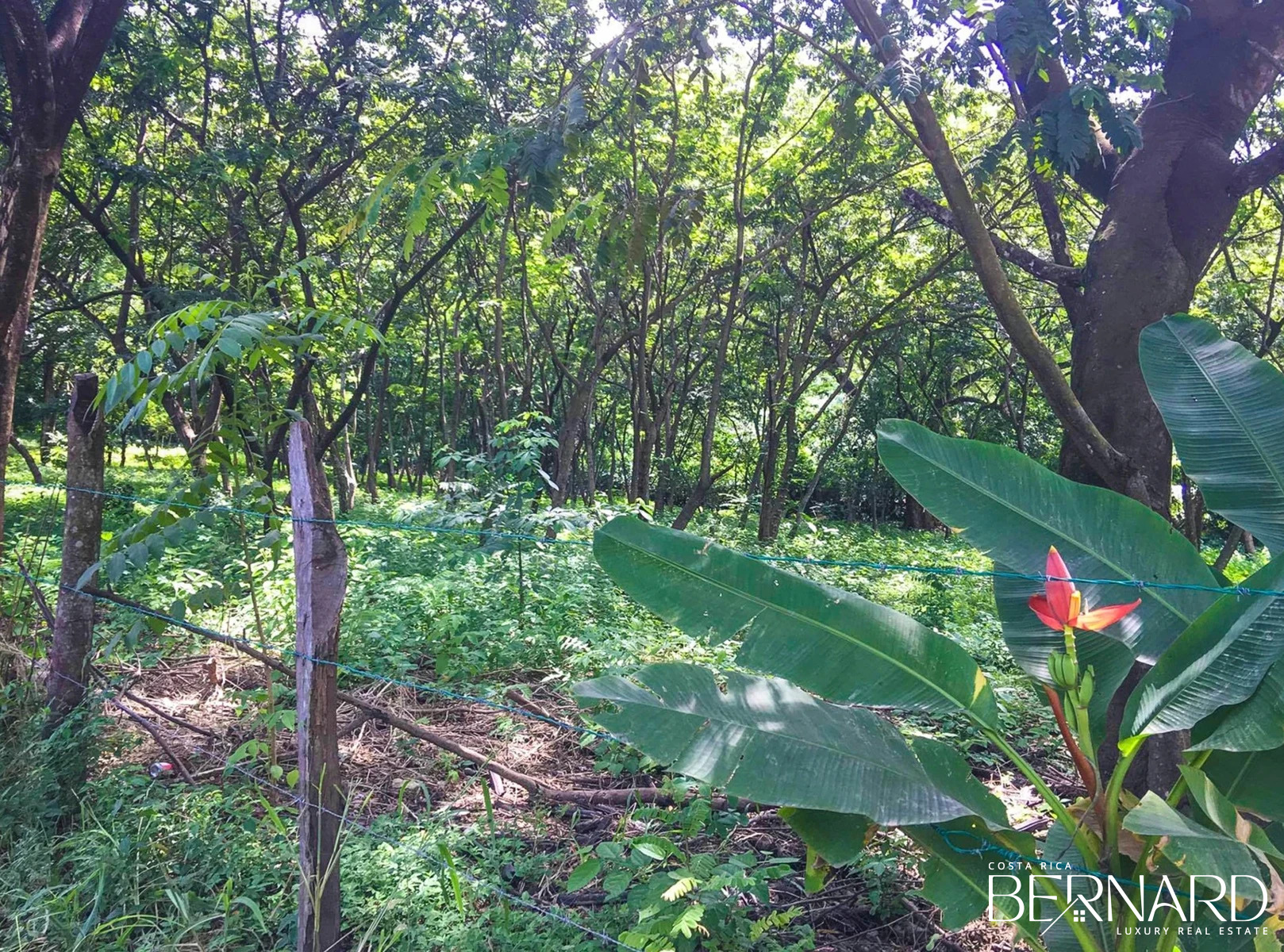 land for sale santa teresa costa rica