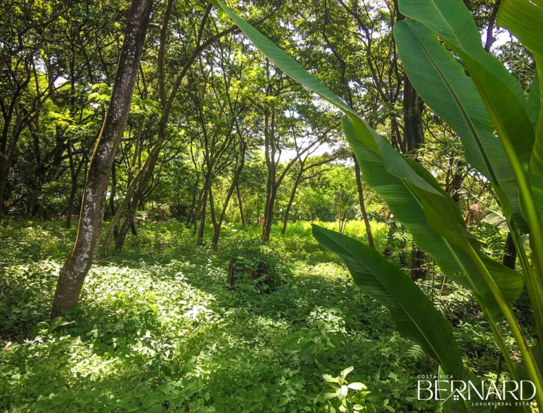 land for sale santa teresa costa rica