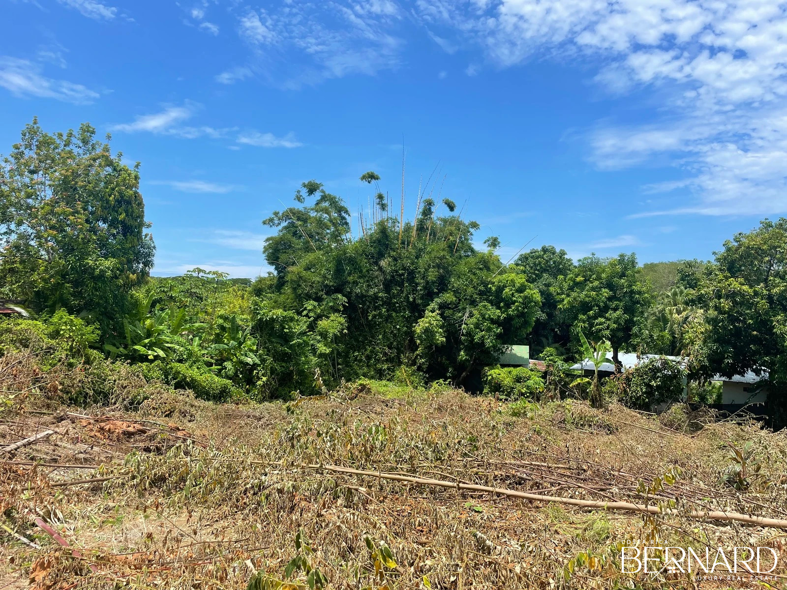 land for sale santa teresa costa rica