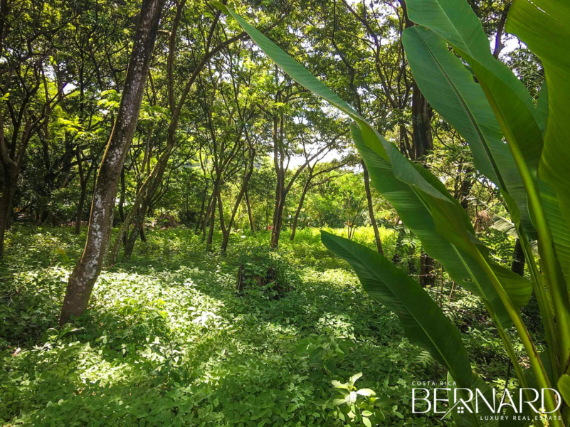 land for sale santa teresa costa rica