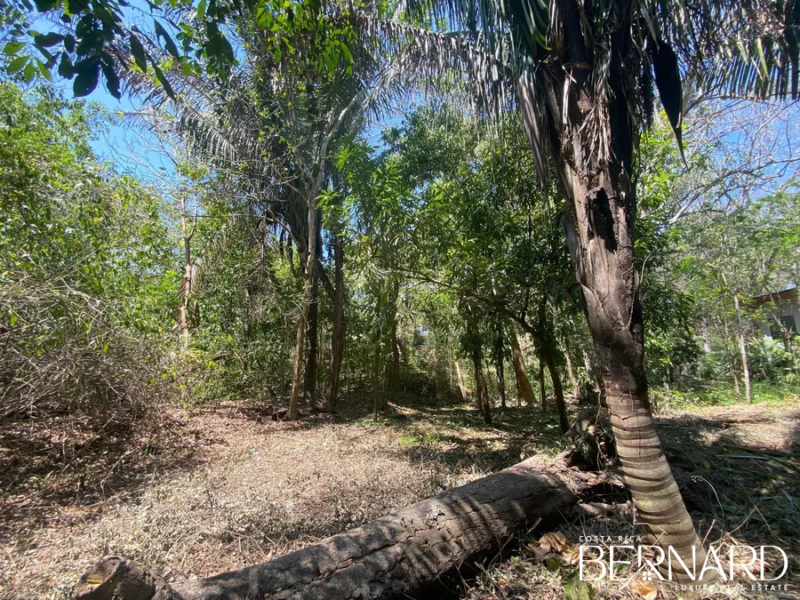 land for sale santa teresa costa rica